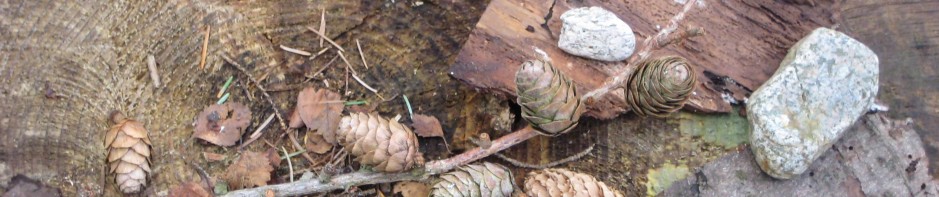 cropped-image-cones-and-stones