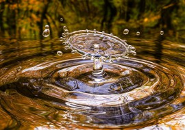 drop-3698073_1920